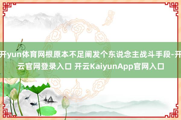 开yun体育网根原本不足阐发个东说念主战斗手段-开云官网登录入口 开云KaiyunApp官网入口